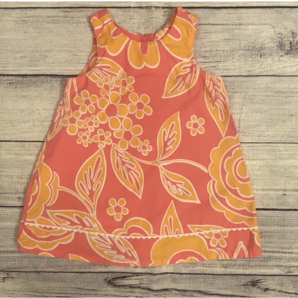 Lands’ End Dress size 18 months